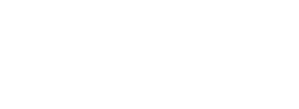 placetel Logo